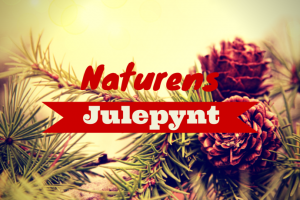 Hjemmelavet julepynt af naturen