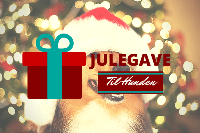 Julegaver til hunden Julegaver til hunden