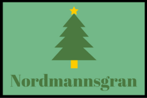 Juletræ Nordmannsgran