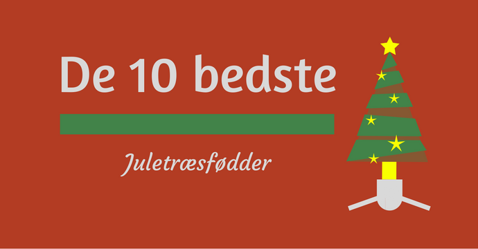 Juletræsfod - her er de 10 bedste