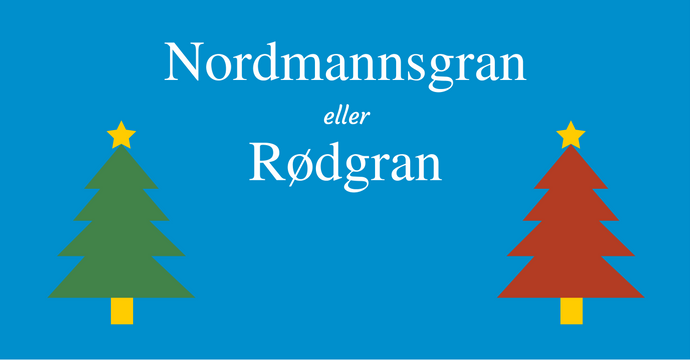 Nordmannsgran eller Rødgran