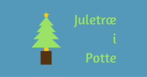 Juletræ i potte